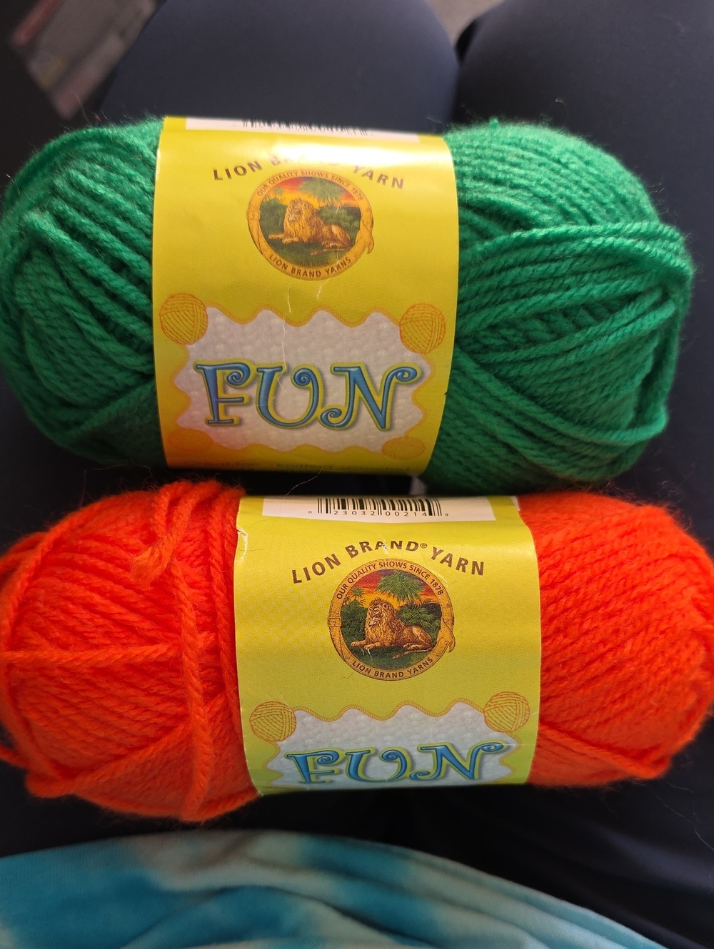 Lion Brand FUN Yarn Skein - Green and Orange